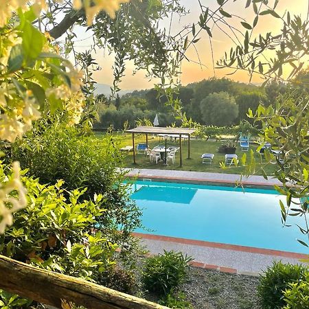 B&B Alloro Capannori Exterior photo