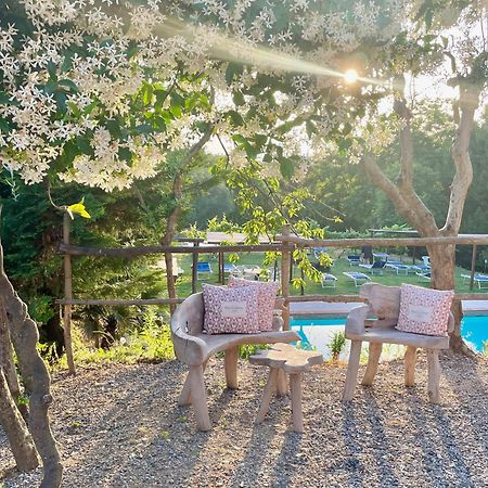 B&B Alloro Capannori Exterior photo