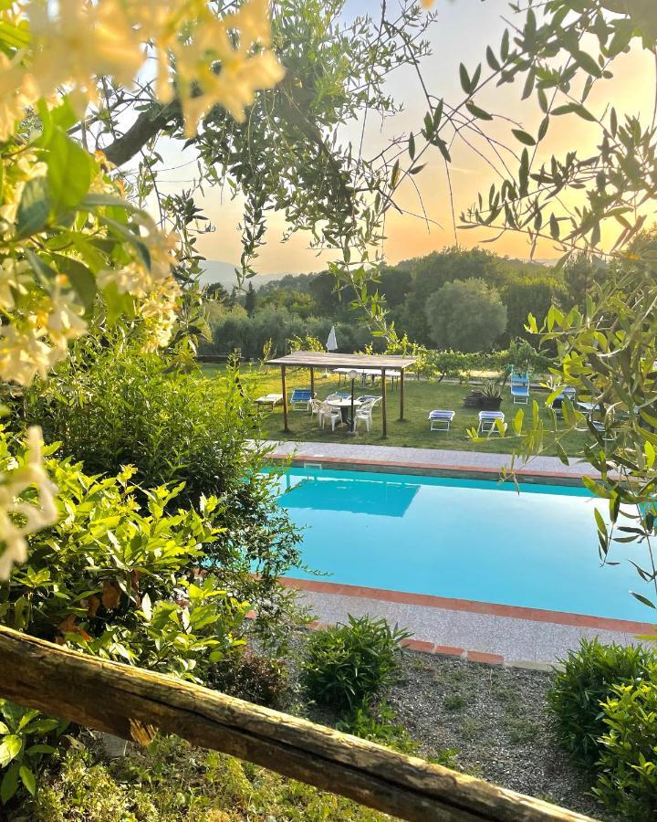 B&B Alloro Capannori Exterior photo