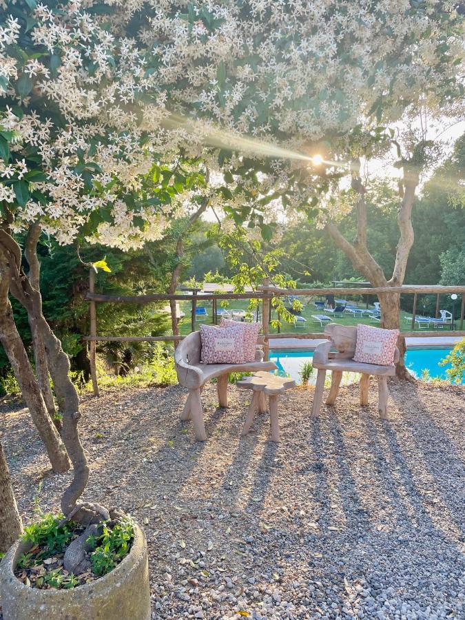 B&B Alloro Capannori Exterior photo